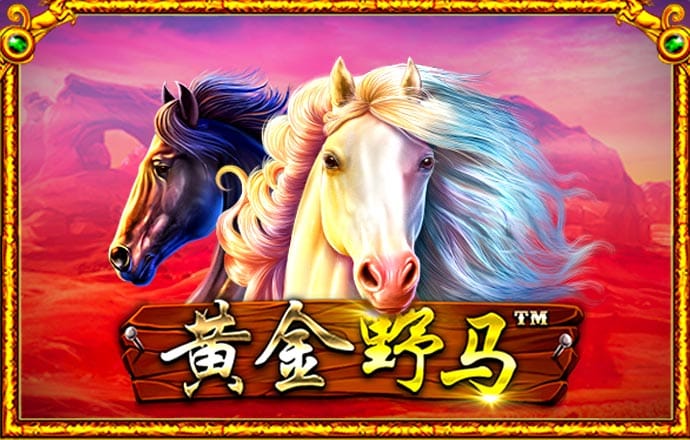 AB体育娱乐app平台下载